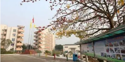 <b>射洪縣金龍職業技術學校</b>