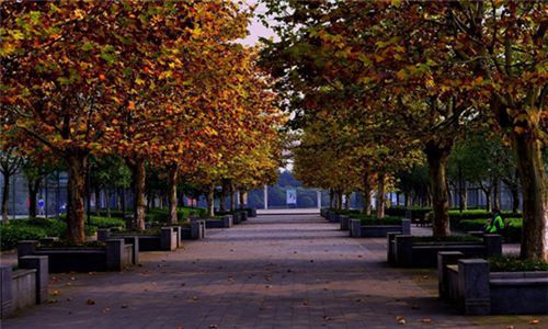 平昌通用職業(yè)技術學校