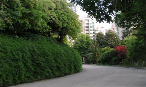 成都天府職業技術學校