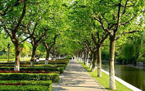 隆昌幼兒師范學校中專什么專業好?學前教育專業好學嗎