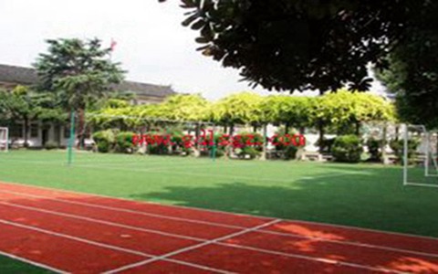 南充外國語中等專業學校有哪些專業?商務日語專業好不好