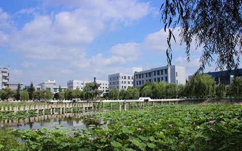 樂山旅游學校有哪些專業?旅游管理專業好學嗎