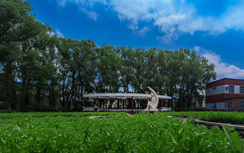 涼山州高級職業技術學校中專什么專業好?運輸管理專業好不好