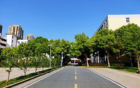 樂山欣欣藝術(shù)職業(yè)學(xué)校有哪些專業(yè)?服裝設(shè)計(jì)與工藝類專業(yè)好不好