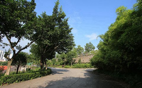 樂至縣回瀾職業中學2023招生專業有哪些?藥劑專業好不好