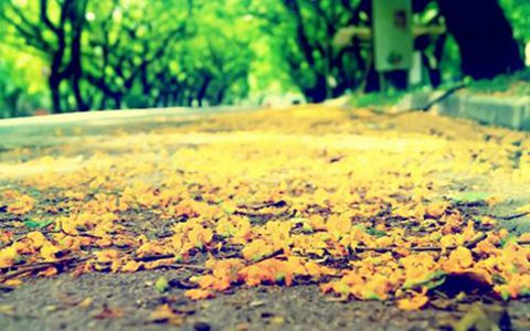 巴州區(qū)漁溪職業(yè)中學校開設有哪些專業(yè)?旅游服務與管理專業(yè)好學嗎