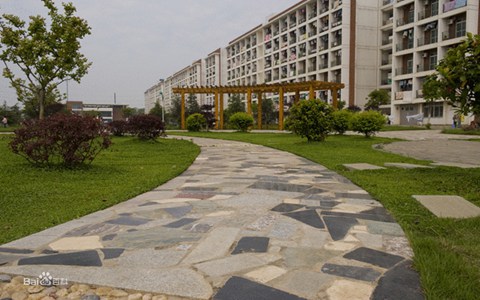 萬源黃鐘職業中學2023招生專業有哪些?文秘專業好不好