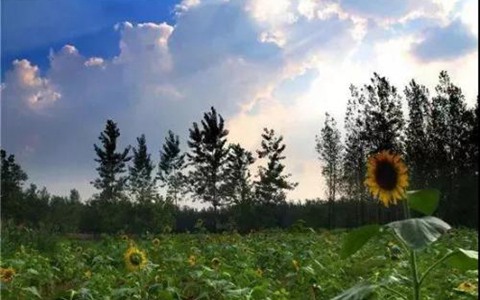 滎經縣職業高級中學中專什么專業好?農村經濟綜合管理專業就業怎么樣