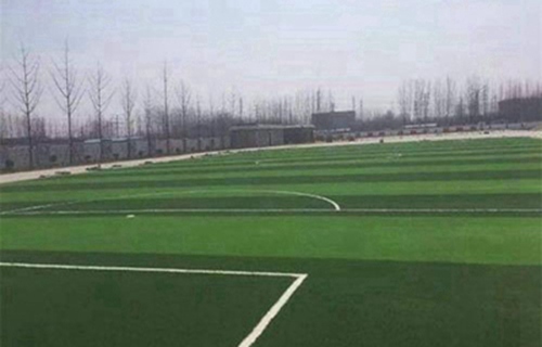 南充2023年哪個中專學(xué)校的蠶桑專業(yè)好