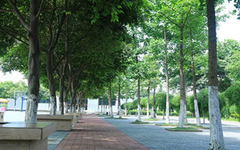 大竹縣中峰職業技術學校2023招生專業有哪些?汽車運用與維修專業好不好