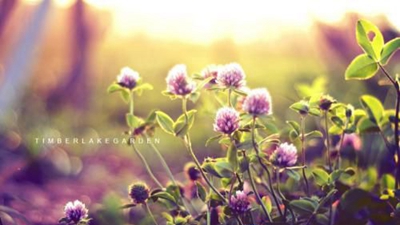 江油中壩職業中學